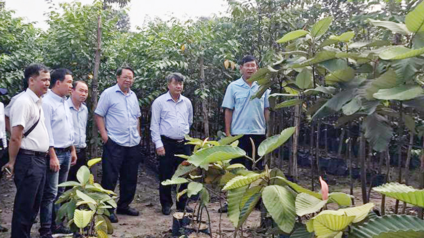 Khảo sát nghiên cứu cây bản địa và chuyển giao KHCN cho các tỉnh Đông Nam Bộ và Tây Nguyên